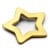 large gold star charm
