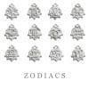 chunky sterling silver zodiac charms